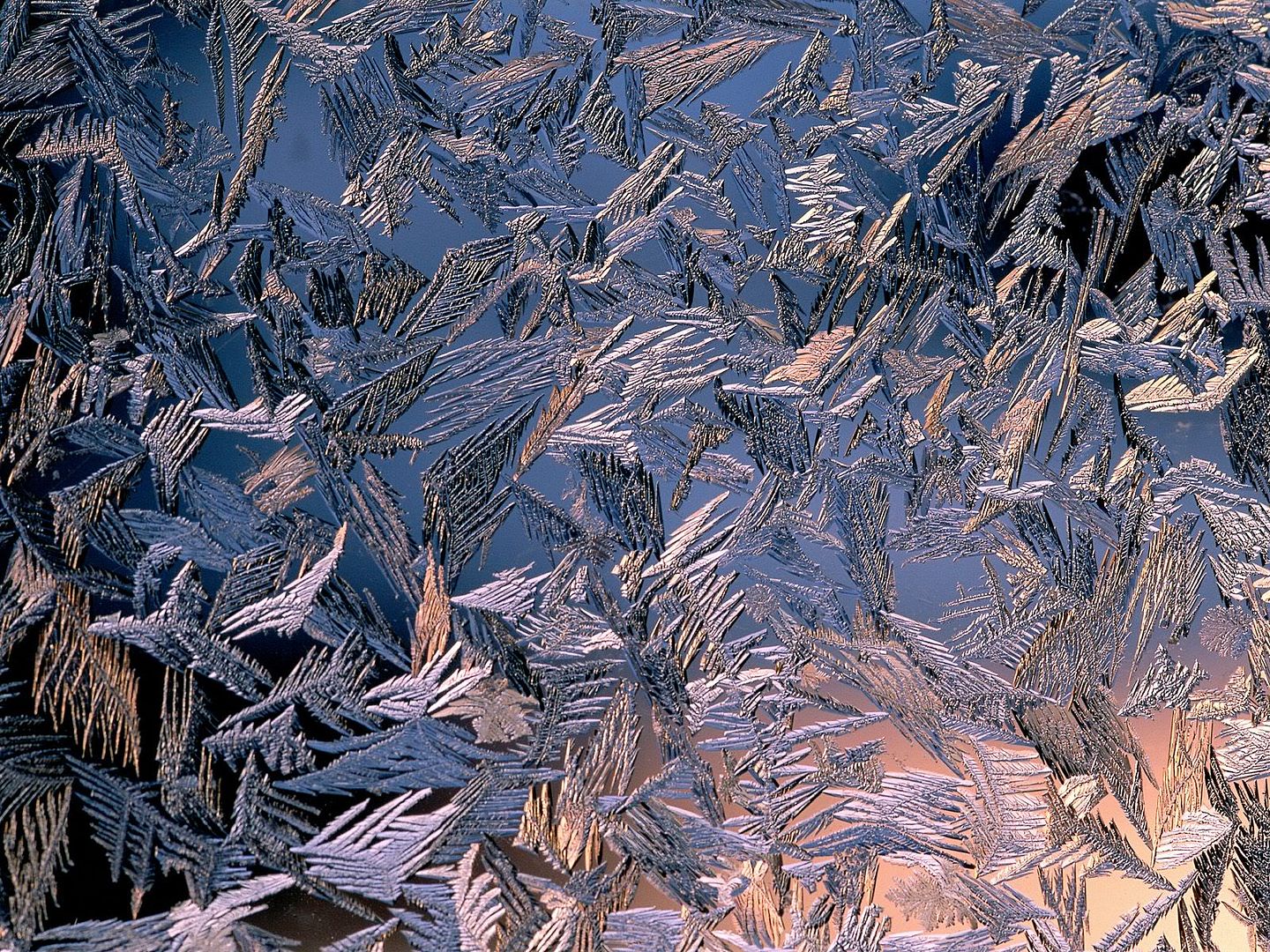 winter_wall022.jpg