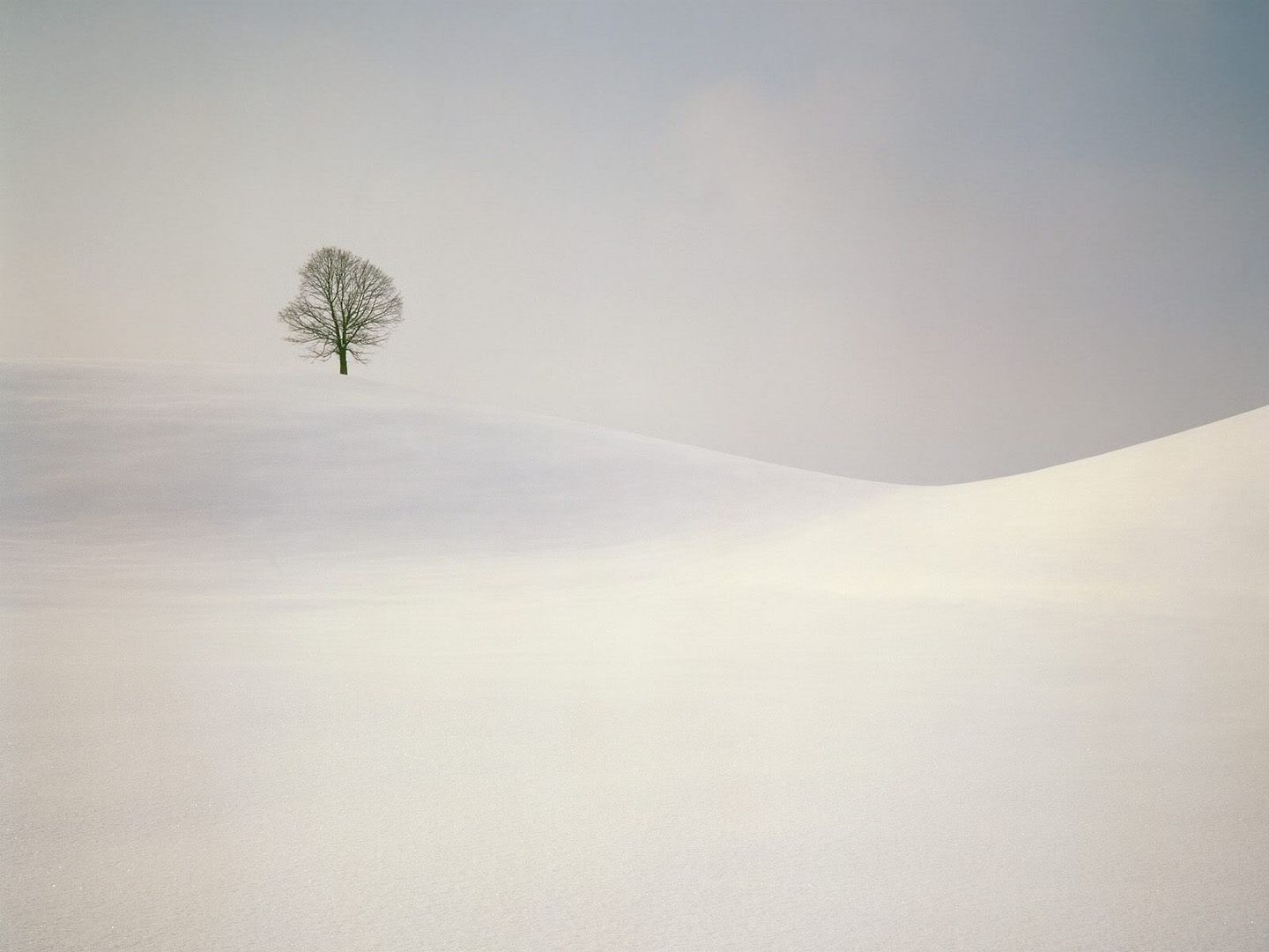 winter_wall025.jpg