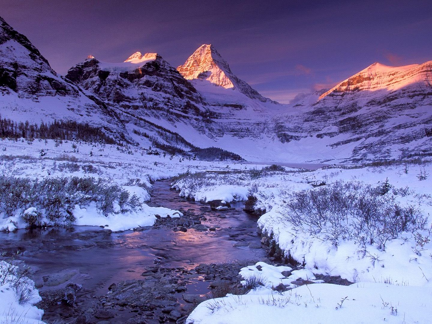 winter_wall027.jpg