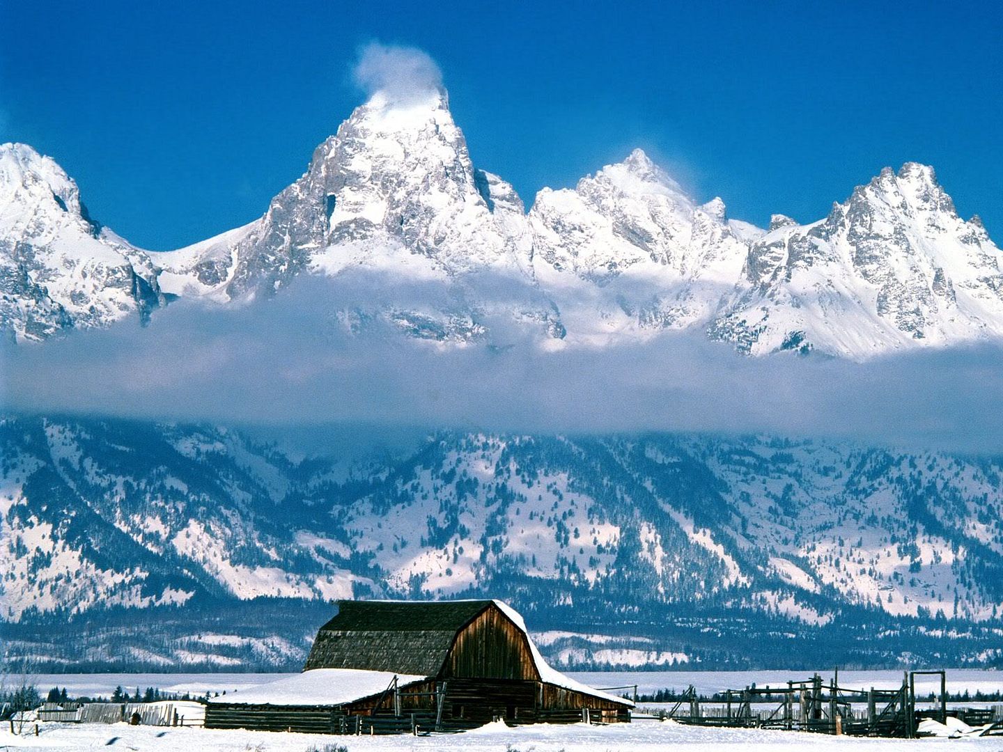 winter_wall029.jpg