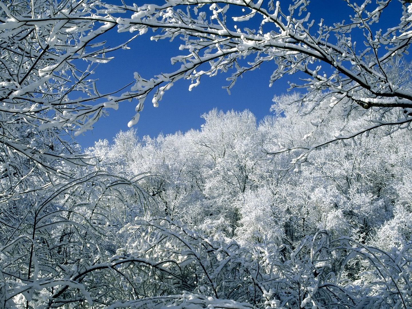 winter_wall031.jpg