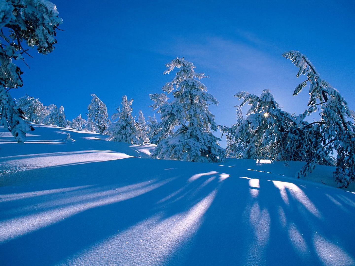 winter_wall032.jpg