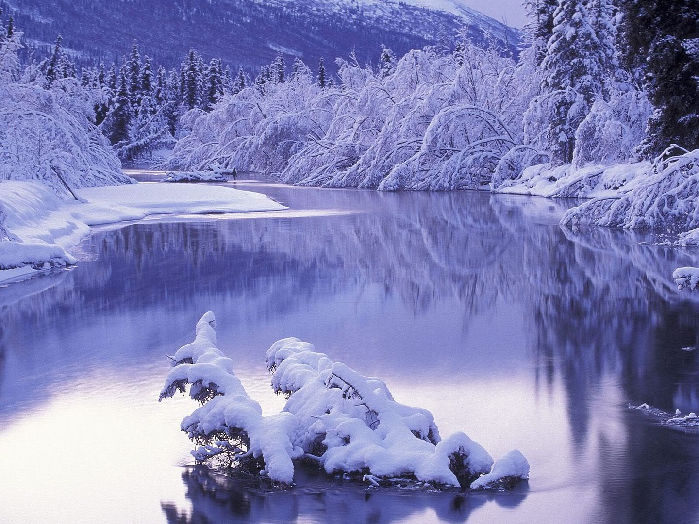 winter_wall033.jpg