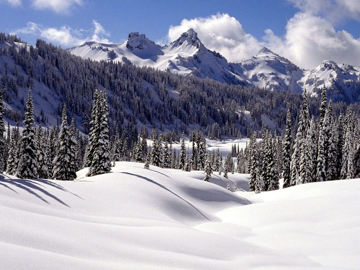 winter_wall035.jpg