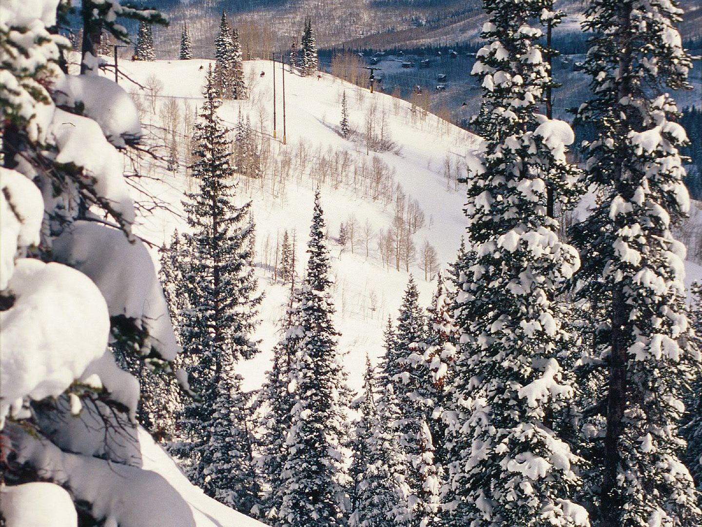 winter_wall036.jpg