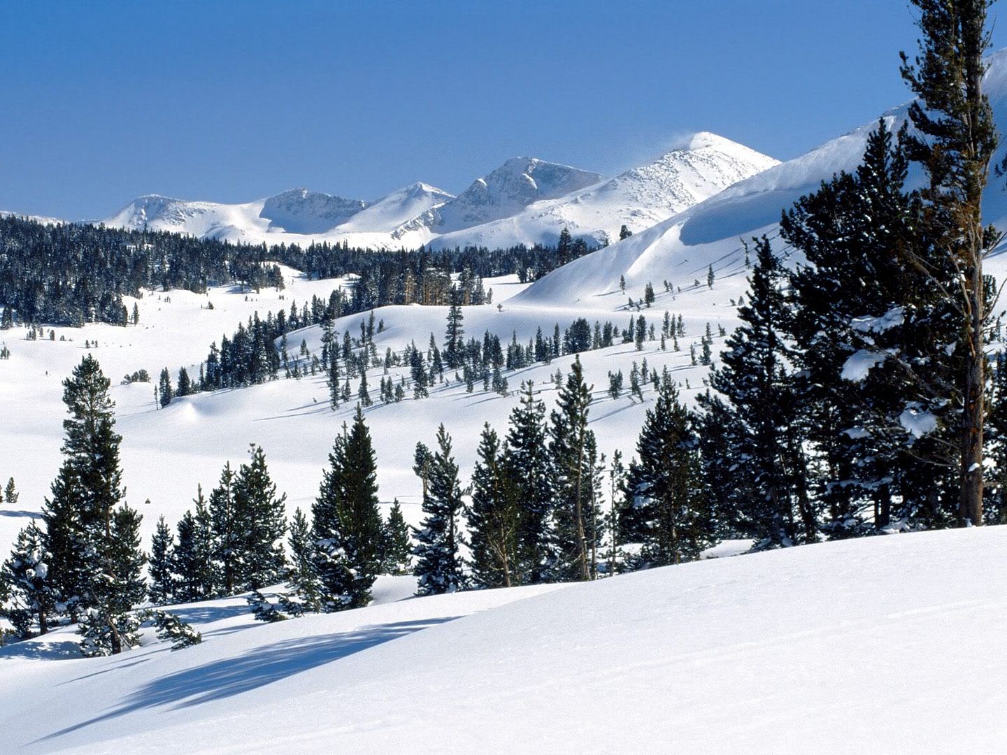 winter_wall038.jpg