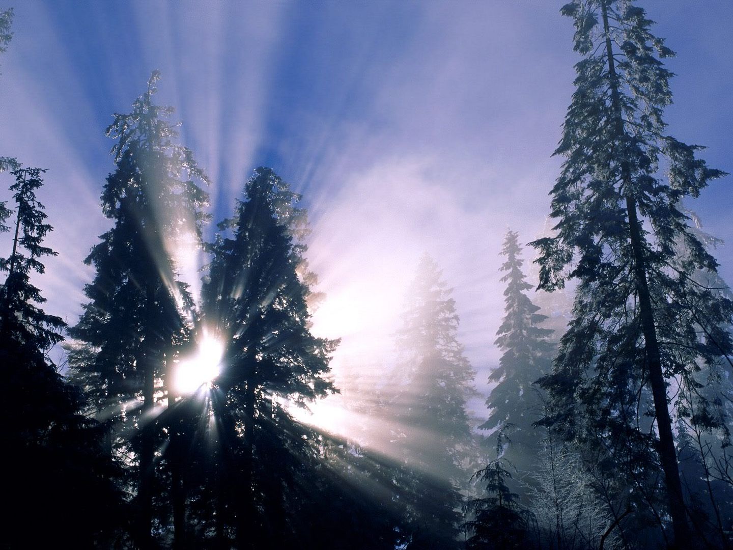 winter_wall039.jpg