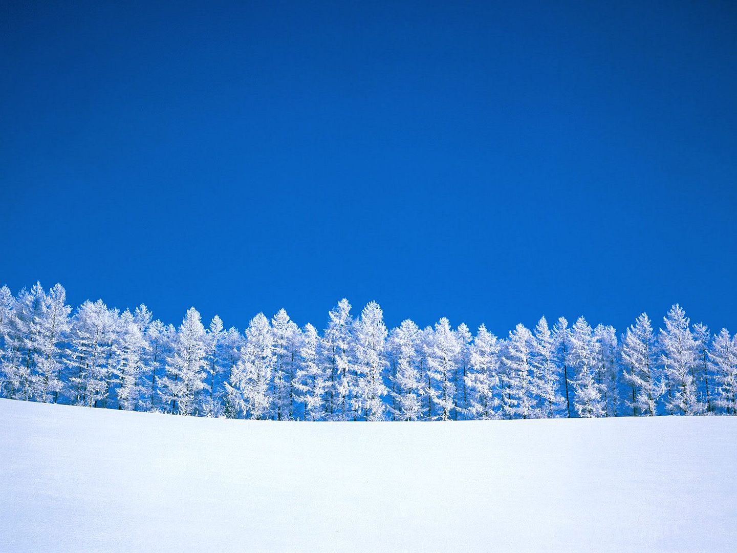 winter_wall040.jpg