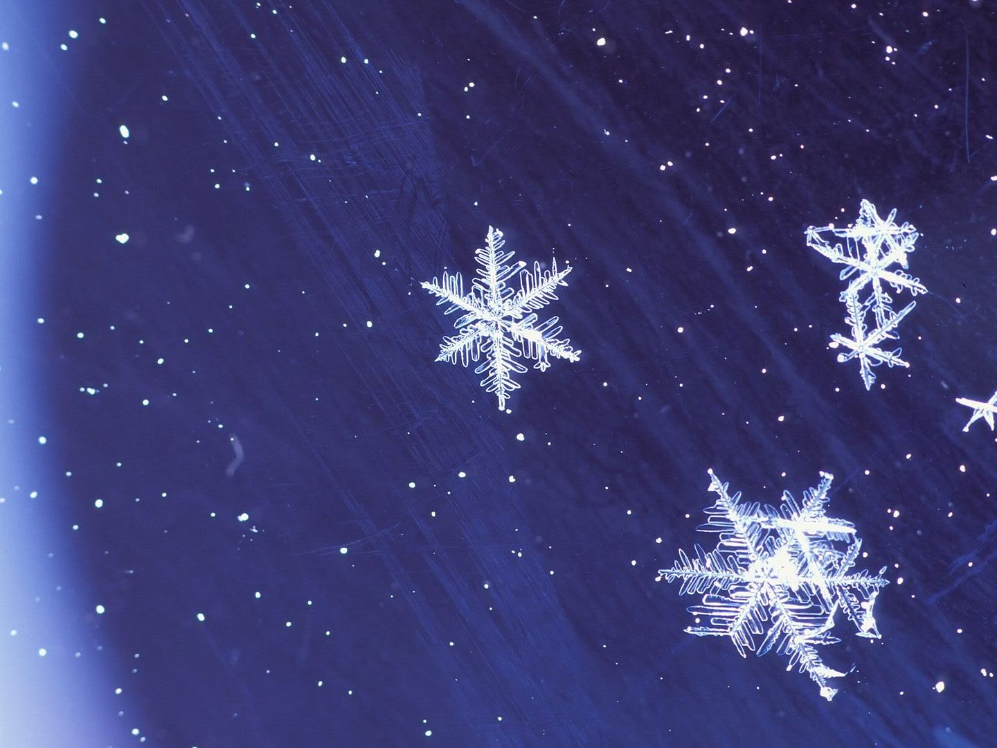 winter_wall041.jpg