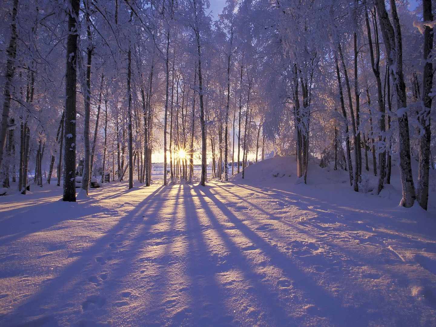 winter_wall042.jpg