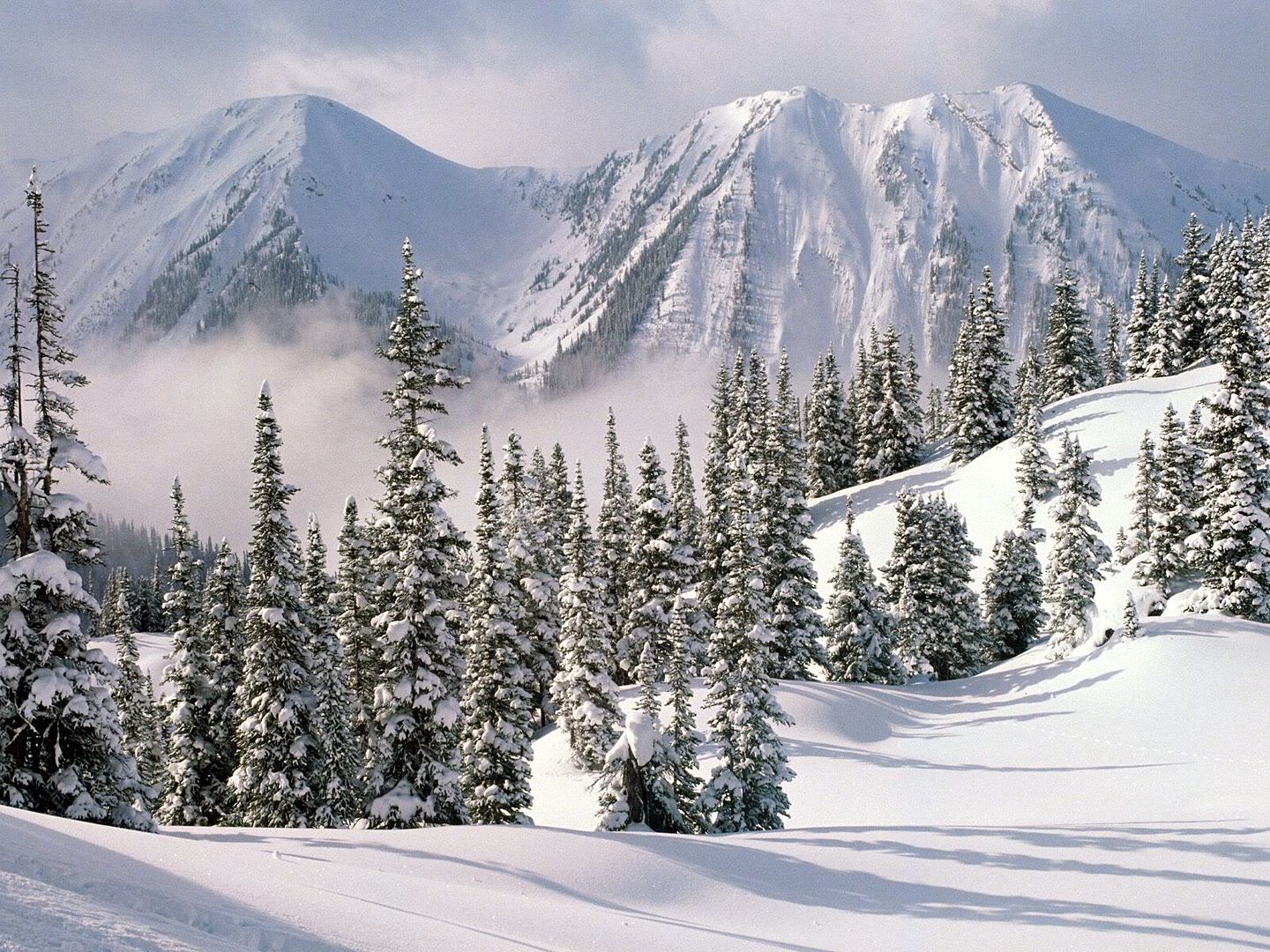 winter_wall044.jpg