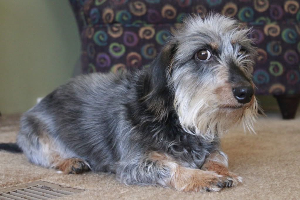 IMAGE: http://i244.photobucket.com/albums/gg32/Boosted236/_MG_4942.jpg