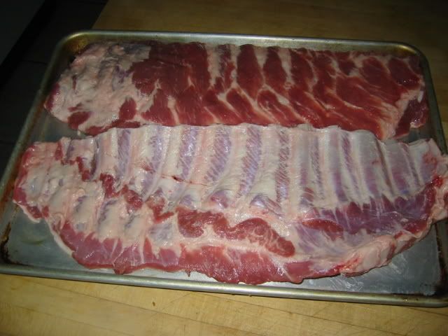 Ribs_02.jpg