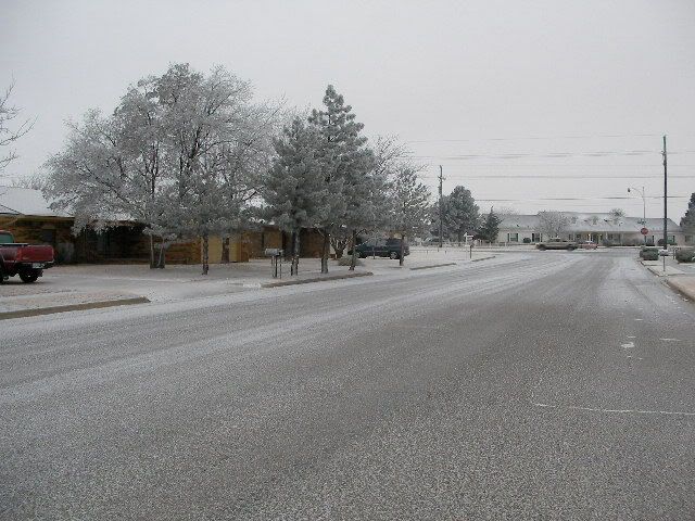 SANY0076.jpg