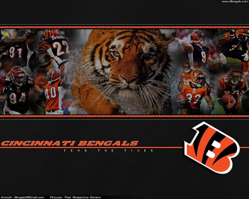 Cincinnati Bengals Graphics Code | Cincinnati Bengals Comments ...