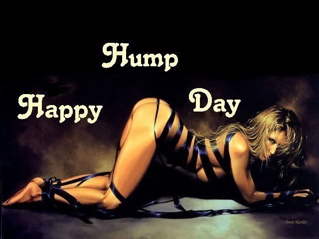 hump day Pictures, Images and Photos