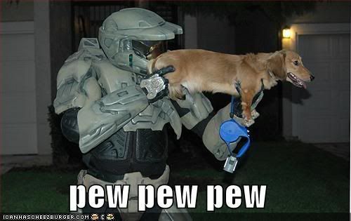 halo funny. funny-pictures-halo-dog-pew.