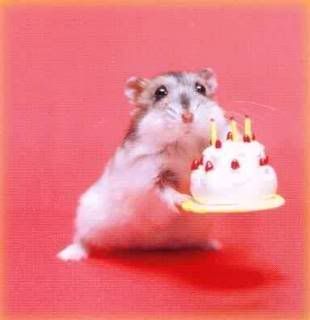 mousebirthdaylu4.jpg