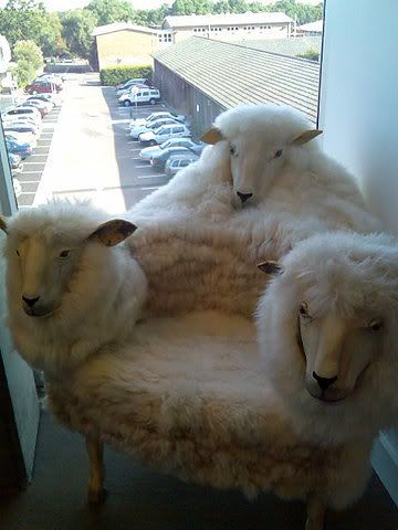 776daa66234e8f2f8cb71912a8ed030ad58.jpg sheep chair picture by nickcarter03