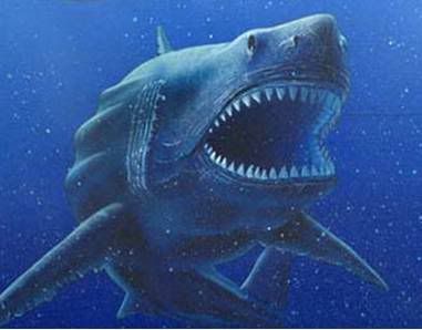 megalodon Pictures, Images and Photos