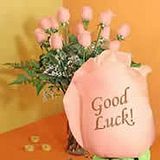 th_Good-Luck.jpg
