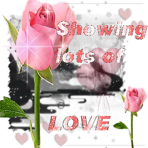 Hunto.com - Showin Some Love Comments