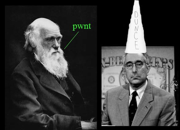 darwin_pwnt_benstein.jpg