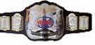 Champion Tag Team Champion Tag Team