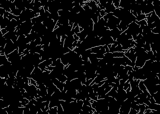 photo spermtrails.png