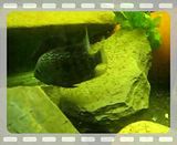 th_21Aug2008130.jpg