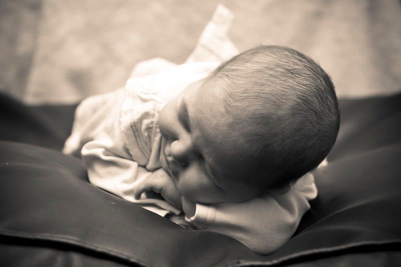 IMAGE: http://i244.photobucket.com/albums/gg8/matt-peters/AO4I1529.jpg