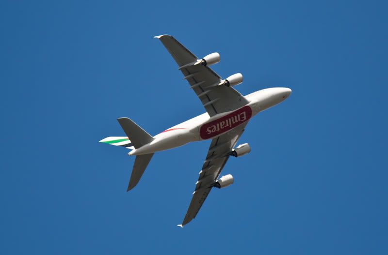 IMAGE: http://i244.photobucket.com/albums/gg8/matt-peters/AO4I7464.jpg