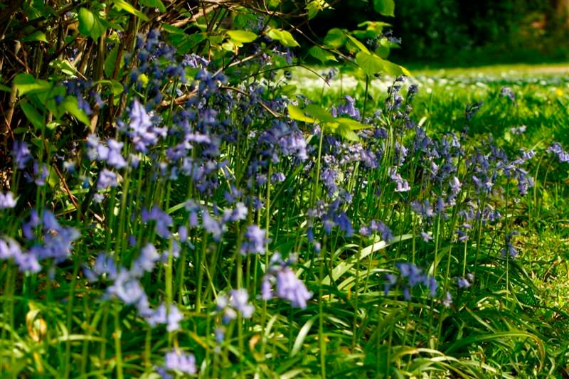 IMAGE: http://i244.photobucket.com/albums/gg8/matt-peters/_-7Medium.jpg