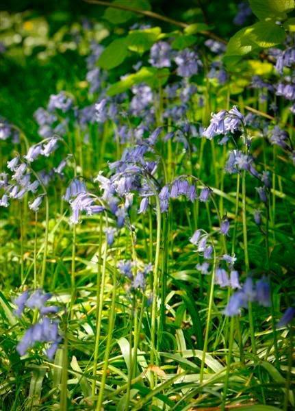 IMAGE: http://i244.photobucket.com/albums/gg8/matt-peters/_-8Medium.jpg