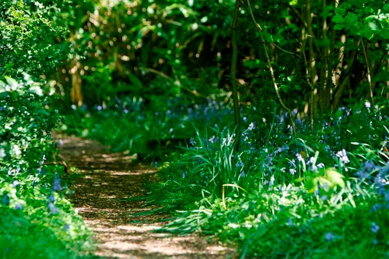 IMAGE: http://i244.photobucket.com/albums/gg8/matt-peters/_-9Medium.jpg