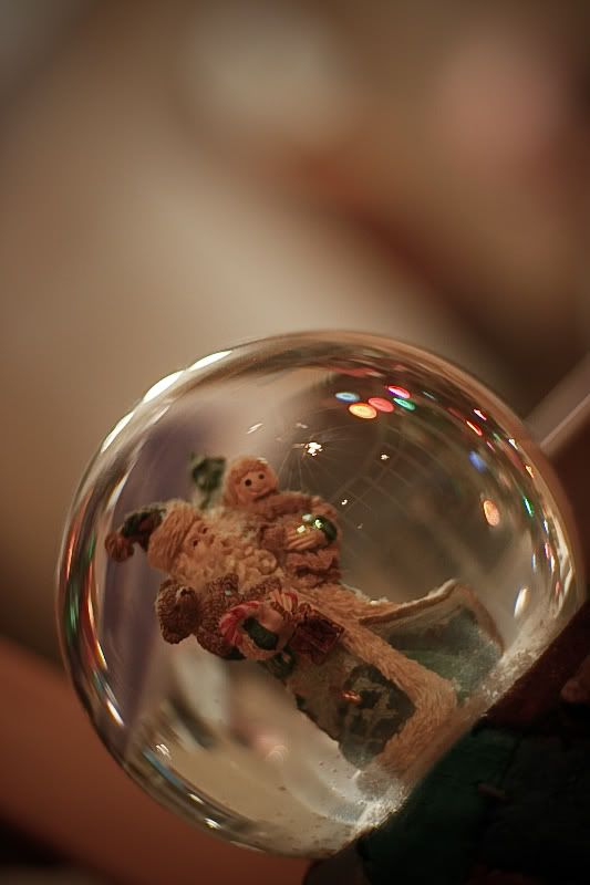 IMAGE: http://i244.photobucket.com/albums/gg8/matt-peters/_MG_4028.jpg