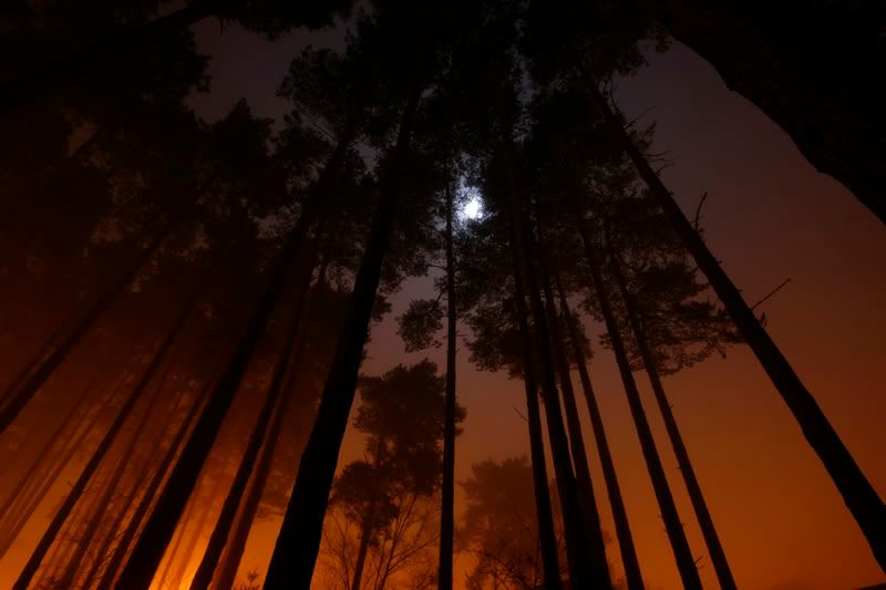 IMAGE: http://i244.photobucket.com/albums/gg8/matt-peters/_MG_4336-resized.jpg