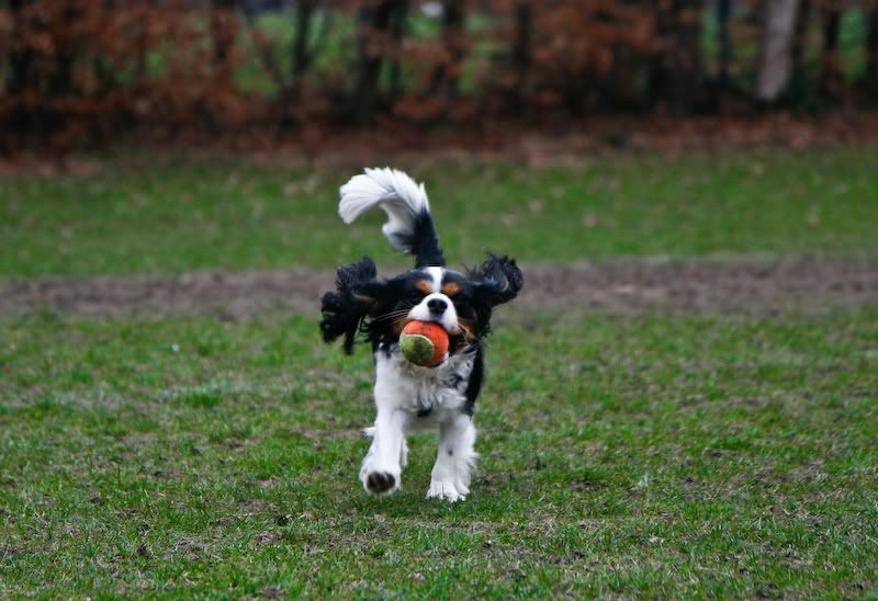 IMAGE: http://i244.photobucket.com/albums/gg8/matt-peters/_MG_5669-3.jpg