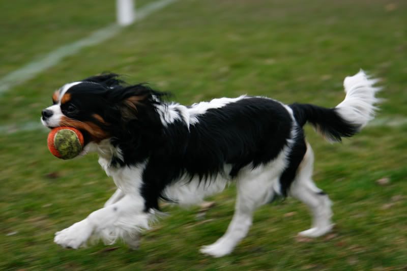 IMAGE: http://i244.photobucket.com/albums/gg8/matt-peters/_MG_5671-4.jpg