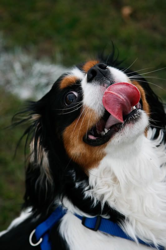 IMAGE: http://i244.photobucket.com/albums/gg8/matt-peters/_MG_5679-6.jpg