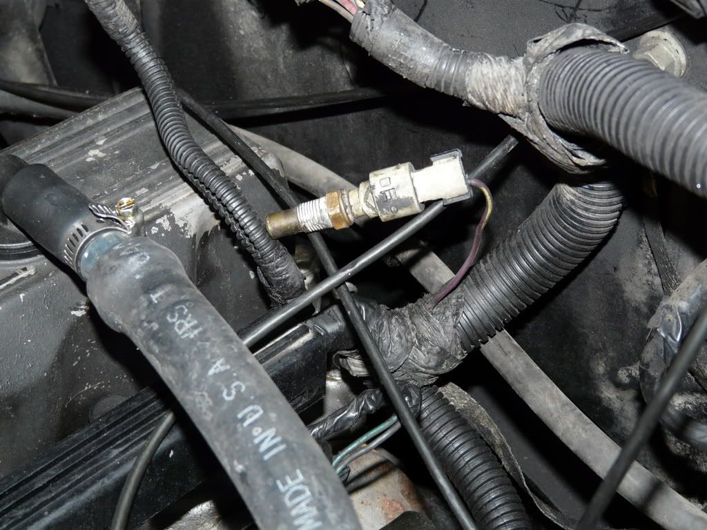 Why wont my temp gauge work? HELP